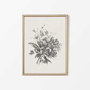 以下が含まれることがあります： 繊細な葉をつけた花束を描いた植物画の白黒の額装プリントです。