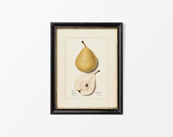 19世紀後半の英国派による水彩画 - 果物と花の静物画 オリジナル