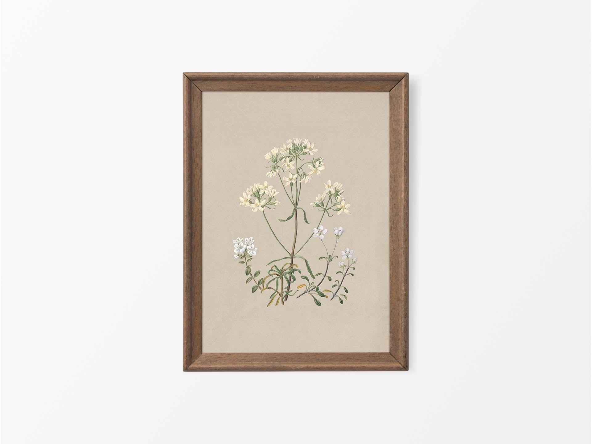 Antique Floral Still Life Watercolor Painting, Vintage Botanical ...
