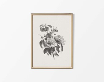 Könnte beinhalten: Ein gerahmter Schwarzweißdruck einer Vintage-Botanischen Illustration mit einem Blumenstrauß mit zarten Blättern.
