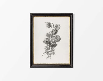 Könnte beinhalten: Schwarzweiß gerahmter Druck einer botanischen Illustration einer Blütengruppe mit zarten Stielen und Blättern.