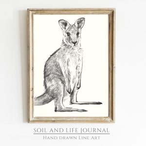 May include: A black and white line drawing of a kangaroo standing on its hind legs. The drawing is framed in a simple wooden frame. The text "SOIL AND LIFE JOURNAL" and "HAND DRAWN LINE ART" is printed below the image.