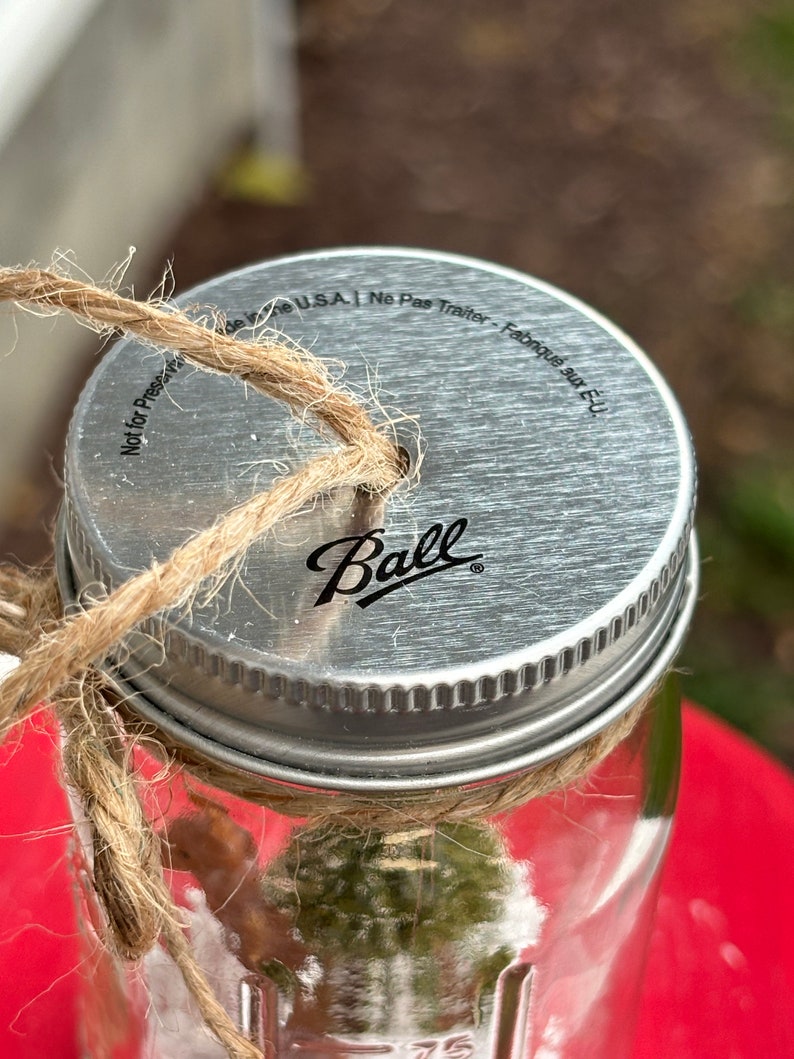 Miniature Ball Mason Jar Glass Christmas Tree Ornament With Chicken and