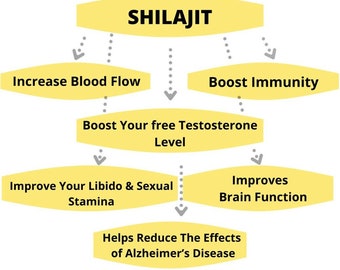 Shilajit Powder Authentic Natural Organic, Premium Altai Quality, Fulvic Acid