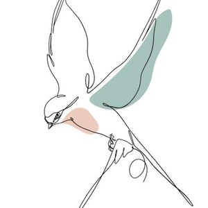May include: A line drawing of a bird in flight with a light blue and pink color wash. The bird is drawn in a single continuous line.
