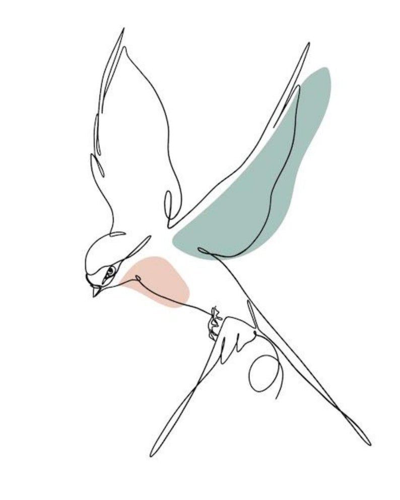 May include: A line drawing of a bird in flight with a light blue and pink color wash. The bird is drawn in a single continuous line.