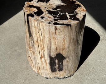 Mesita auxiliar de madera petrificada, predominantemente blanca y beige con manchas negras, H46 D34 - 3340