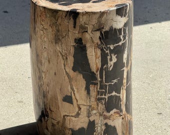 Puede incluir: Un taburete cilíndrico hecho de madera petrificada pulida con un patrón natural de tonos negro profundo y beige crema. La superficie muestra grietas visibles y texturas orgánicas características de la madera fosilizada con acabado liso.
