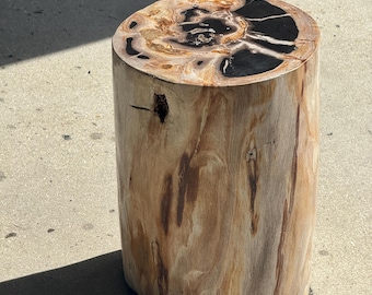 Multicoloured petrified wood side table H45 D24 - 3329