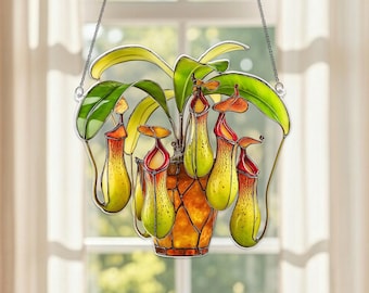 10 inch indoor planter ZZ Plant main image 1