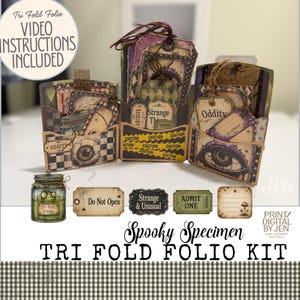 Op de afbeelding: Een drieluik folio-set met griezelige specimen-ontwerpen, inclusief vakjes gevuld met labels, een pot-afbeelding met een wezen, waarschuwingslint-patronen en tekstlabels zoals "Strange Things", "Oddity", "Do Not Open" en "Admit One".