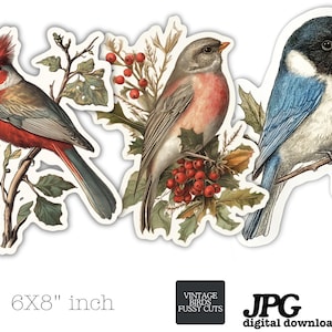 Páginas de diário de lixo vintage, meio papel, itens botânicos, itens vintage de pássaros, itens florais de diário de lixo, cartões de diário de lixo para impressão