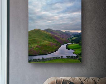 Pentland Hills Heather Bloom Print: Scottish Landscape Photography