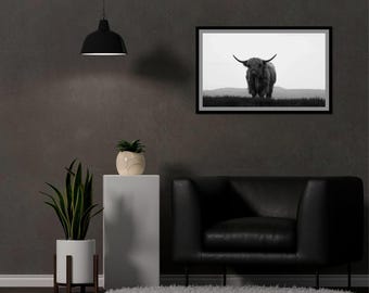 Highland Cow Portrait: Black and White Photography, Rustic Wall Art