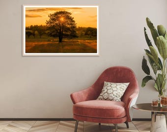Sunrise Woodland Print: Morning Light Tree Silhouette, Serene Landscape