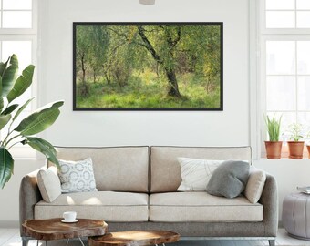 Autumn Silver Birch Tree Photography Print: Scottish Woodland Wall Art