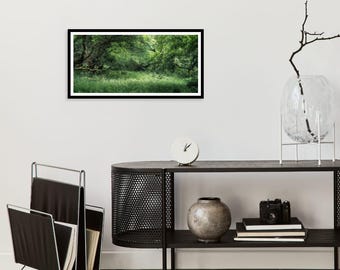 Serene Woodland Landscape Print: Gentle Light, Peaceful Forest Escape
