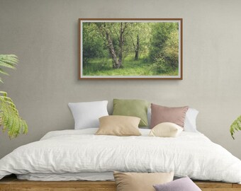 Woodland Light Photography Print: Tranquil Greenery Scene