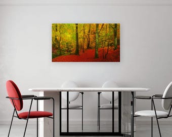 Autumn Woodland Photography Print: Sunlit Forest Scene