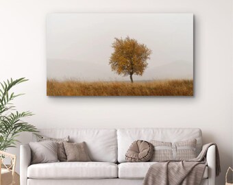 Autumn Silver Birch Tree Print: Misty Woodland Photography