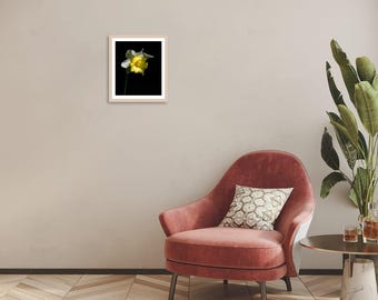 Daffodil Photography Print: Nature-Inspired Floral Wall Art