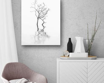 Monochrome Tree Reflection Print: Minimalist Abstract Photography.