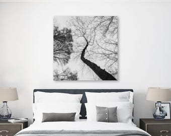 Edgelaw Reservoir Print: Monochrome Trees Reflection, Nature Photography