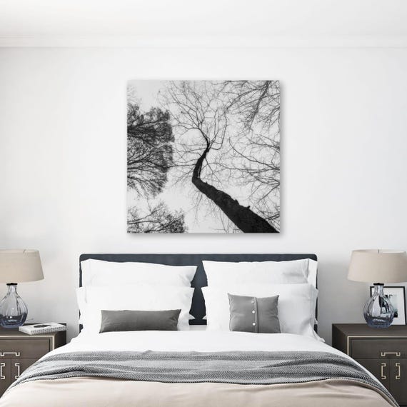 Edgelaw Reservoir Print: Monochrome Trees Reflection, Nature Photography
