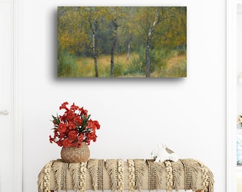 Autumn Silver Birch Print: Scottish Woodland Photography