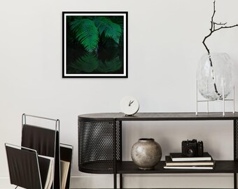 Fern Reflection Photography Print: Serene Nature Art, Green Home Decor