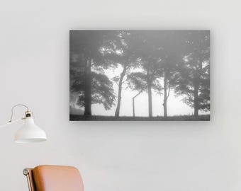 Misty Tree Silhouette Print: Serene Black and White Nature Art
