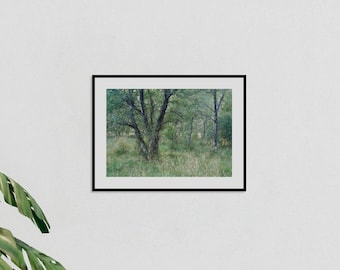 Enchanted Woodland Dance Art Print: Silver Birch Tree Photography