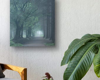 Misty Forest Path Photography Print: Serene Nature Art