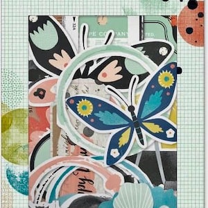 May include: A paperie pack with a variety of decorative paper cutouts. The pack includes butterfly, flower, and rainbow designs in shades of blue, pink, and green. The top of the pack has the text "PRINT Shop" and "Vicki Boutin".