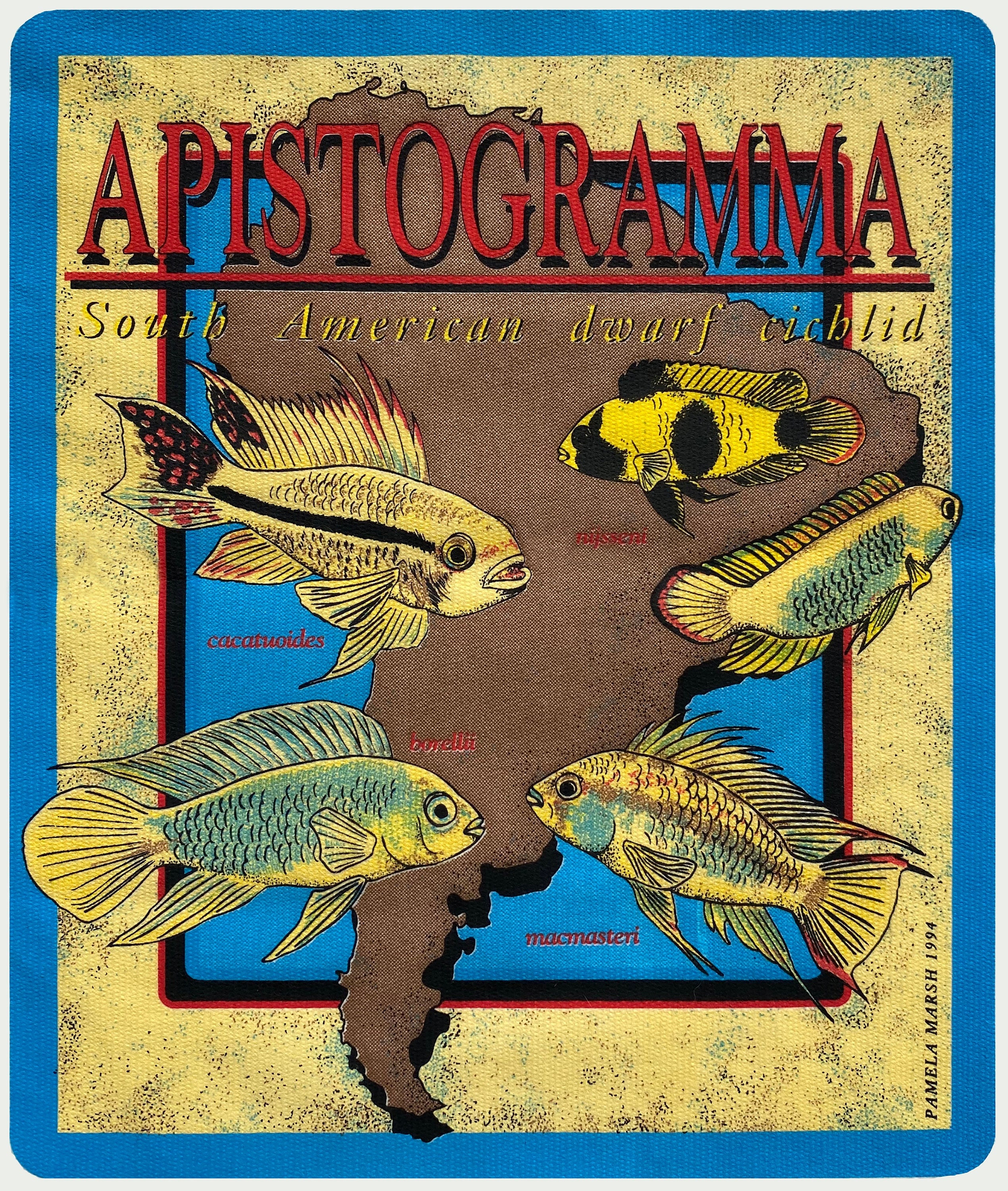 Complete Book of Dwarf Cichlids