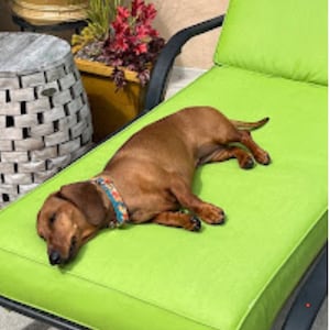 Sunbrella Fabric Bench Cushion - Stylish and Functional for Dogs, Windows, Mudrooms, Patios, and Indoors/Outdoors