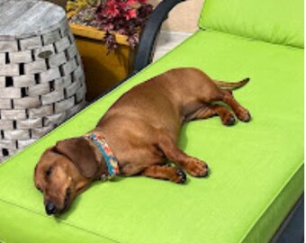Sunbrella Fabric Bench Cushion: Custom Indoor Outdoor Dog Bed
