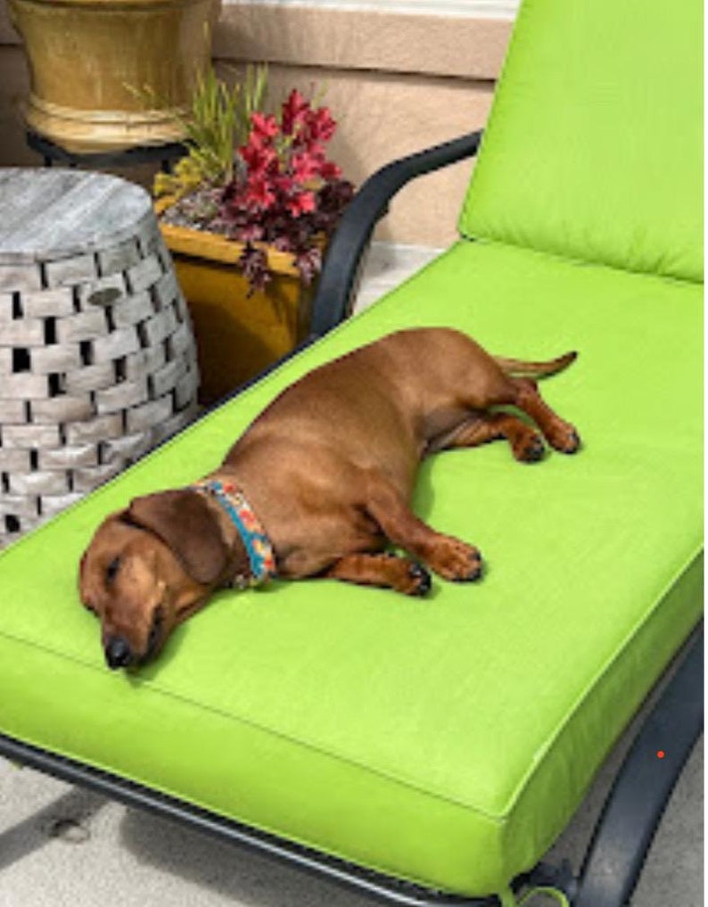 May include: A brown dachshund dog wearing a patterned collar is lying on a bright green outdoor chaise lounge. The dog is relaxed and appears to be sleeping. The lounge has a black metal frame.