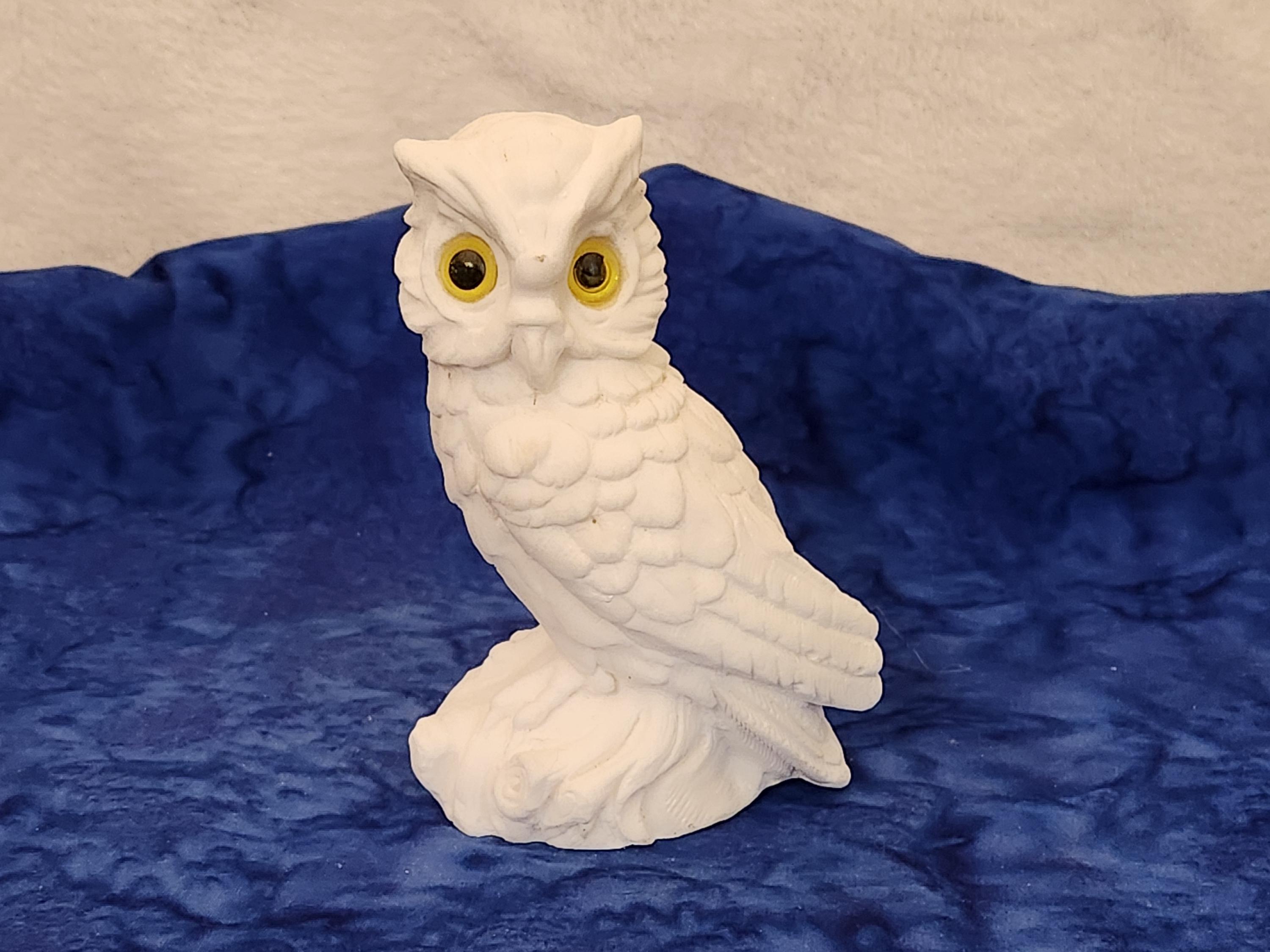 Owl DYI w Yellow Eyes Ready to Paint Home Décor Project, Owl w Yellow Eyes Paint Your Own DIY
