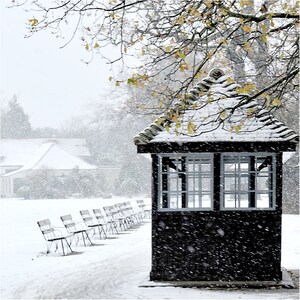 Dulwich Snow