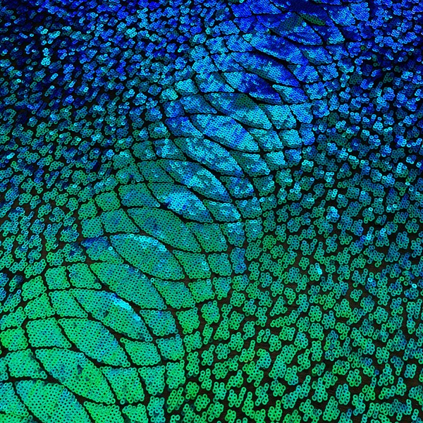 Metallic Sequin on Mesh,Glitter Sequin,Royal Green Iridescent Spandex Mesh Lace Sequins Stretch Fabric,Sequins Power Mesh Embroidered Fabric