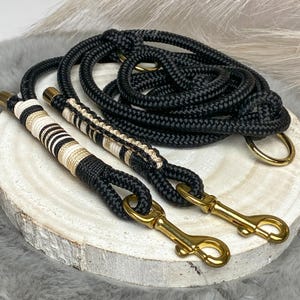 Shiny Gold - Tauleine