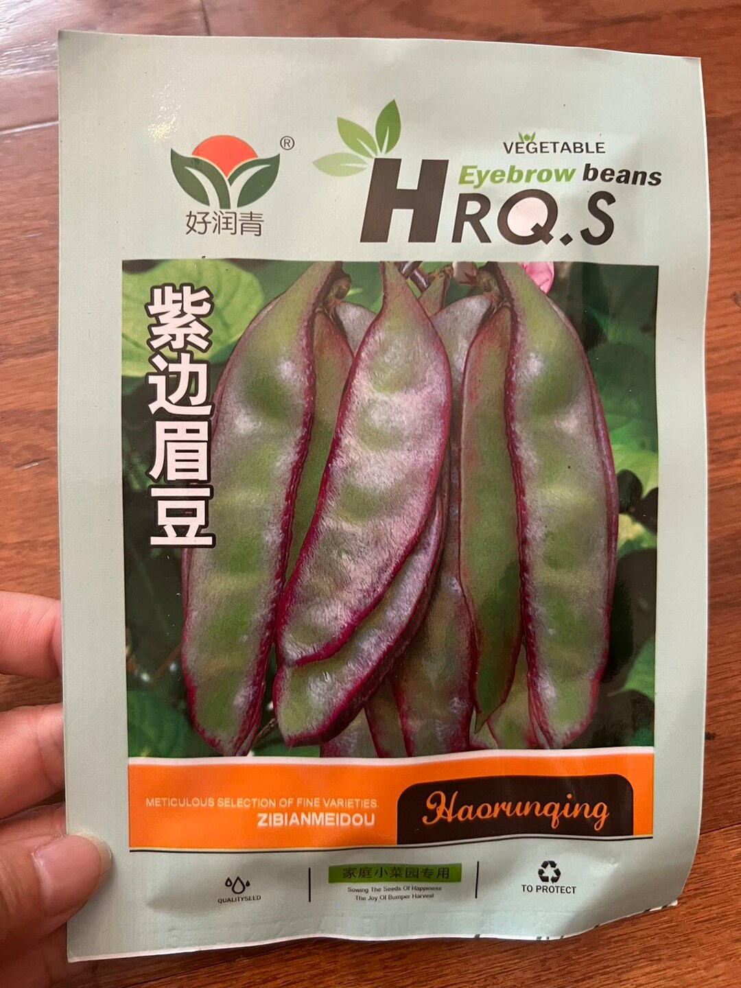 Early Hyacinth Bean Heirloom Vine Flat Bean Seeds 早熟紫边眉豆种子 2023 Etsy