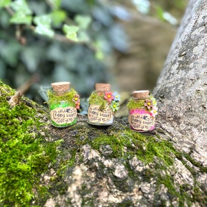 Mini frasco de pó de fada | Presente para a fada do dente | Lembrancinhas para festa da fada do jardim imagem 15