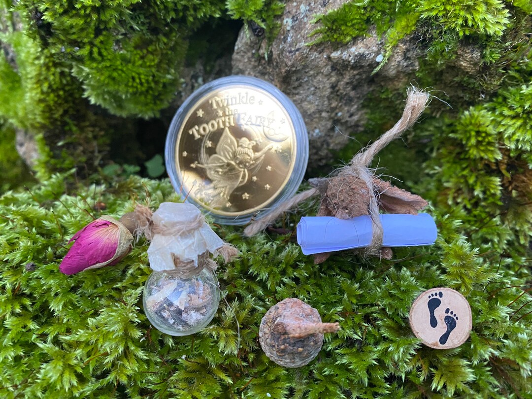 Tooth Fairy Set Fairy Seeds natural Eco Tooth Fairy Kit Eco Tooth Fairy