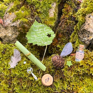 Hoja con letras para el Hada de los Dientes - Kit natural para el Hada de los Dientes - Regalos ecológicos para el Hada de los Dientes - Hada de los Dientes del Bosque