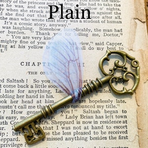 May include: A vintage-style skeleton key with an ornate design, resting on a page of a book with the word "Plain" highlighted. The key is made of brass and has a worn, antique finish.