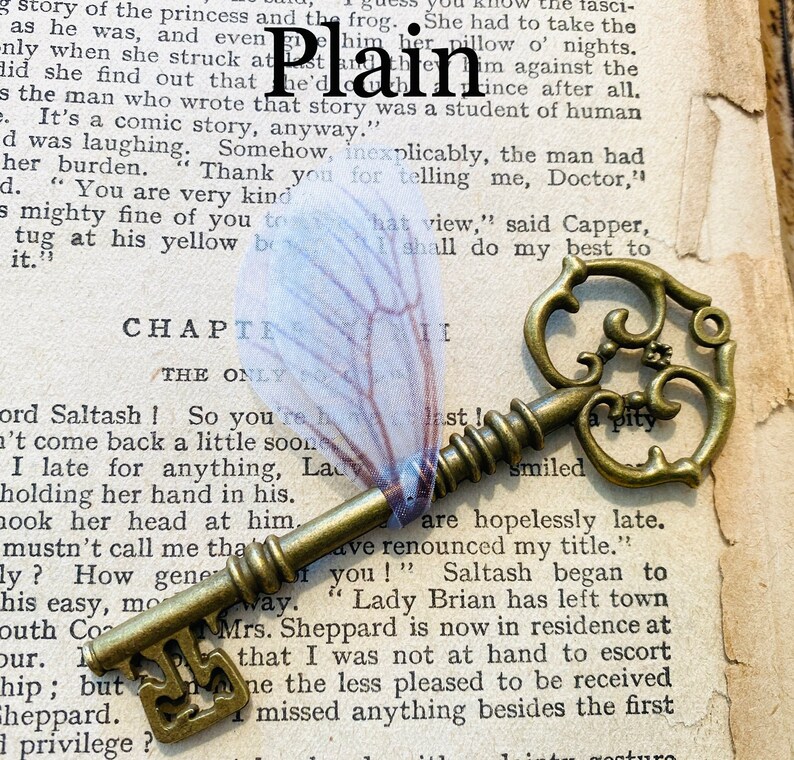 May include: A vintage-style skeleton key with an ornate design, resting on a page of a book with the word "Plain" highlighted. The key is made of brass and has a worn, antique finish.