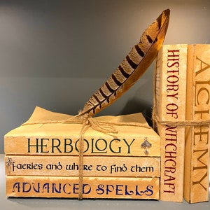 May include: A stack of three horizontal books titled Herbology, Faeries and where to find them, and Advanced Spells, tied with twine and topped with a brown and black striped feather. Two vertical books titled History of Witchcraft and Alchemy stand beside.