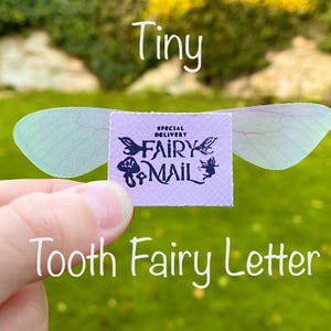 ¡Carta para el Hada de los Dientes, polvo de hada y moneda de oro! Kit para el Hada de los Dientes, regalos para el Hada de los Dientes, carta pequeña para el Hada de los Dientes, correo para el Hada de los Dientes. ¡Primer diente!